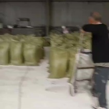 玉米油渣养殖，降低成本厂场有各规格碎玉米稻壳玉米皮玉米渣
