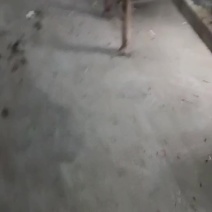 辽宁产地直发，质量保证欢迎联系黄焦苹果