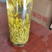 安徽高山优质黄金茶叶自产自销