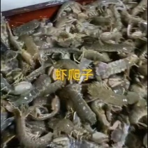 虾爬子