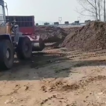优质兔粪100元/吨装车发货