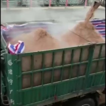 酒糟
