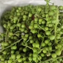 鲜花椒