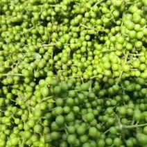 鲜花椒