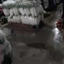 五月二十号大量上市