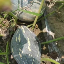 香芋南瓜