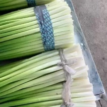 蒜苗