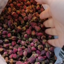 玫瑰花蕾