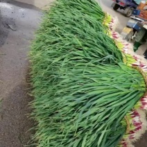 蒜苗
