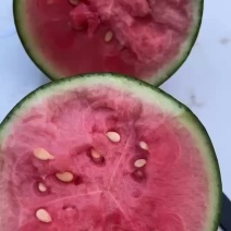 早春红玉小西瓜