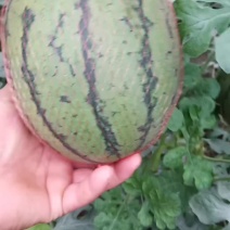 大量供应欢迎各位老板前来选购，保证质量，
