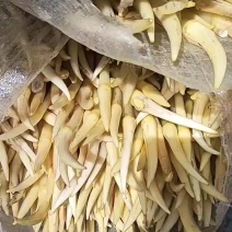 藕带…价格随行就市保证稳定