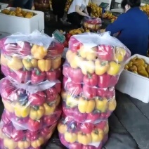 精品彩椒