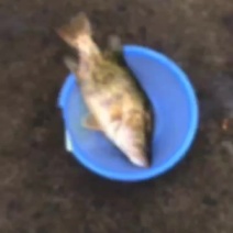 超大规格