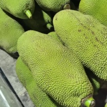 超甜，超好吃菠萝蜜