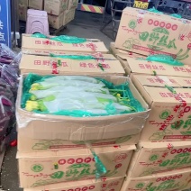 河南丝瓜鲜花丝瓜纸箱无瓶