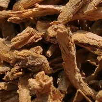 河南产野生甜味地骨皮过3号筛无骨头净货现货常年购销