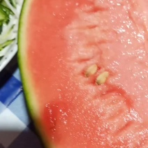 精品938吊蓝西瓜产地直发，货真价实，大量现货
