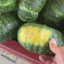 【今日推荐】板栗南瓜产地直发品质保证支持视频看货
