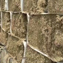 粉碎过筛玉米秸秆
