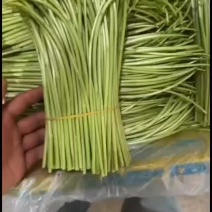 精品芦蒿#