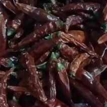 精品高辣椒