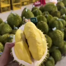 低价干尧
