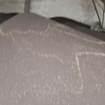 本地的油菜籽大量上市了有看到的朋友联系