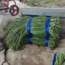 青条豆角