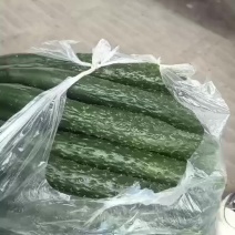 黄瓜