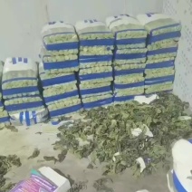 香格里拉精包装红叶香莴笋看上的联系我