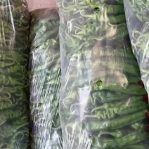 精品陇椒，大量上市，产地一手货源欢迎订购