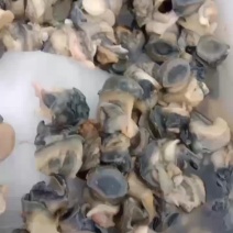 田螺肉