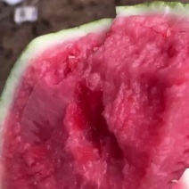 精品无籽美都，个头均匀，糖度高，熟度好，嚷口脆甜，皮薄