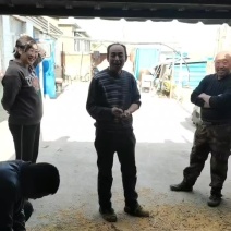 大豆