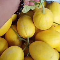 百脆蜜