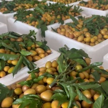 鸡心黄皮果.一件代发/奶茶店/顺丰包邮