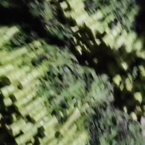 精包等你来购