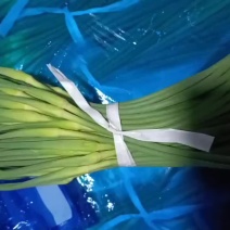 蒜苔