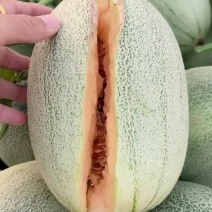 西周蜜25