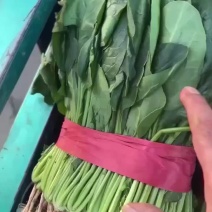 精品蔬菜