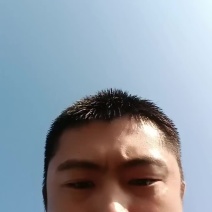 安丘土豆大量上市