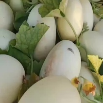 四季银红，脆梨