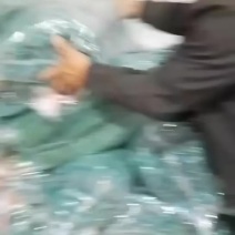 安徽苇叶，质量好价格优