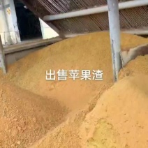 发酵苹果渣饲料一手货源诚信合作量大从优欢迎来电