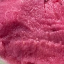 美都西瓜麒麟8424甜王