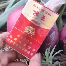 精品红皮洋葱大量上市中，果形好，艳色红，大小均匀，无烂果