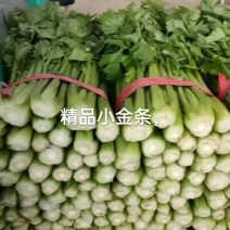 精品蔬菜