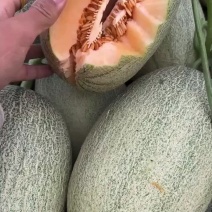 西周蜜25