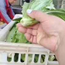 大量现货
